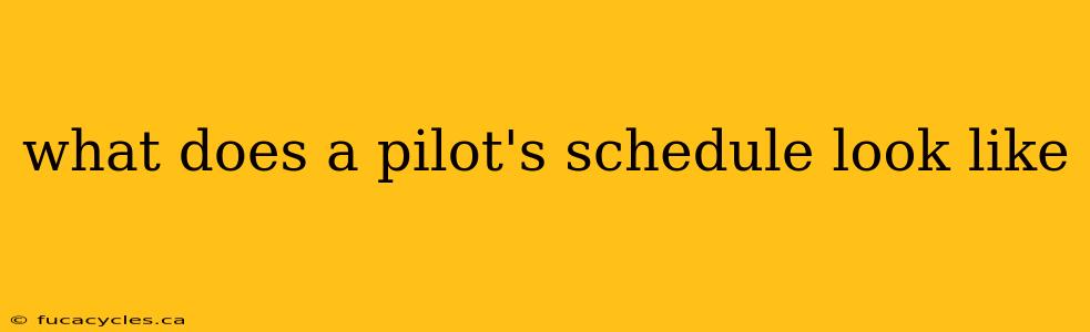 what does a pilot's schedule look like