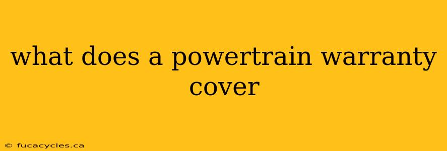 what does a powertrain warranty cover