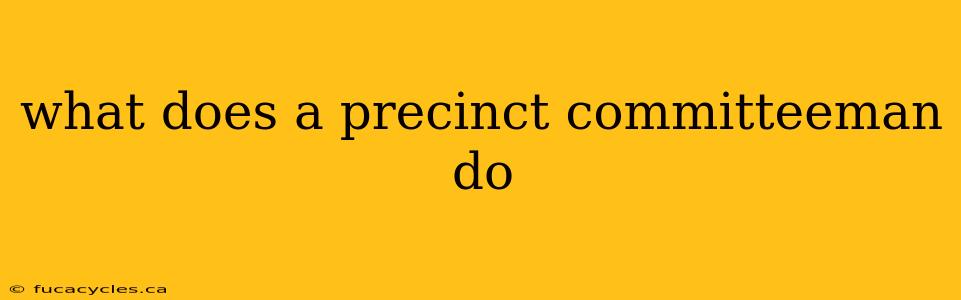 what does a precinct committeeman do