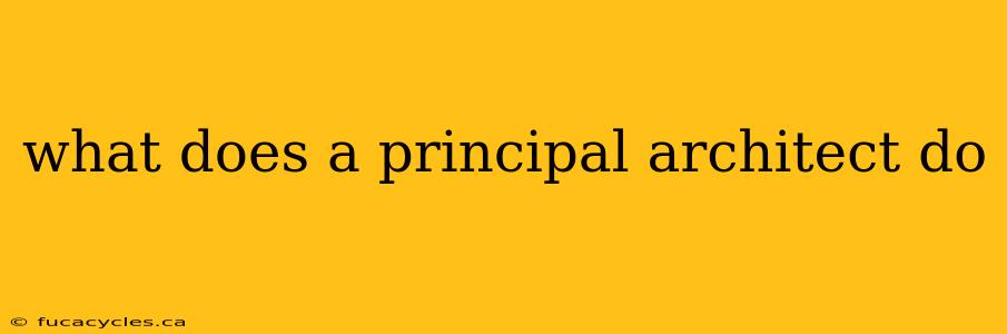 what does a principal architect do