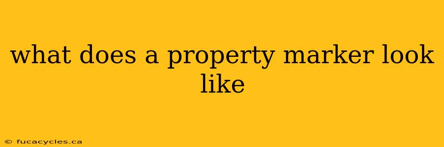 what does a property marker look like