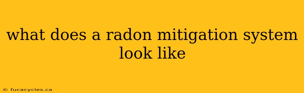 what does a radon mitigation system look like