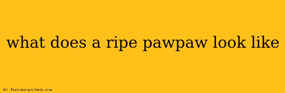 what does a ripe pawpaw look like