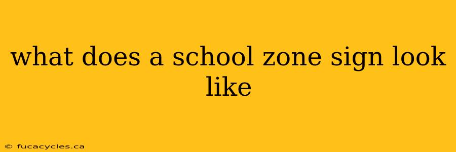 what does a school zone sign look like