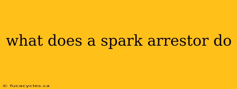 what does a spark arrestor do