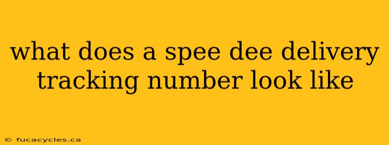 what does a spee dee delivery tracking number look like