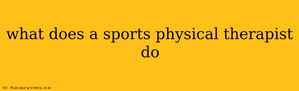 what does a sports physical therapist do