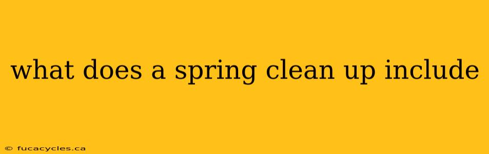 what does a spring clean up include