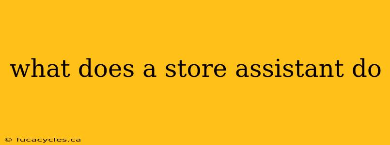 what does a store assistant do