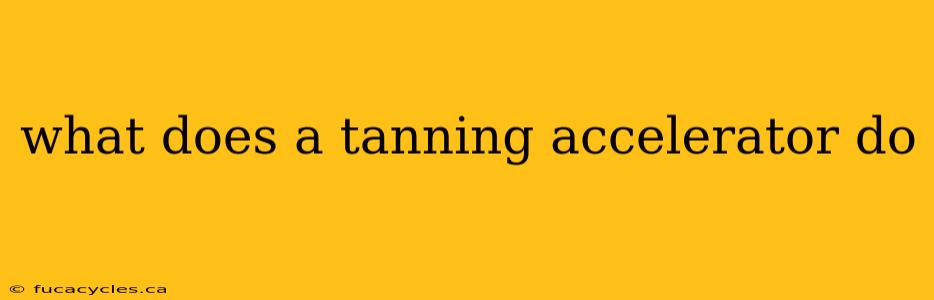 what does a tanning accelerator do