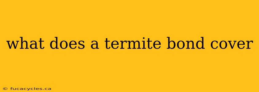 what does a termite bond cover