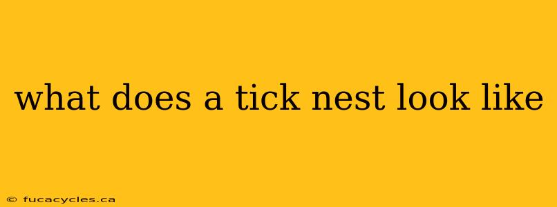 what does a tick nest look like