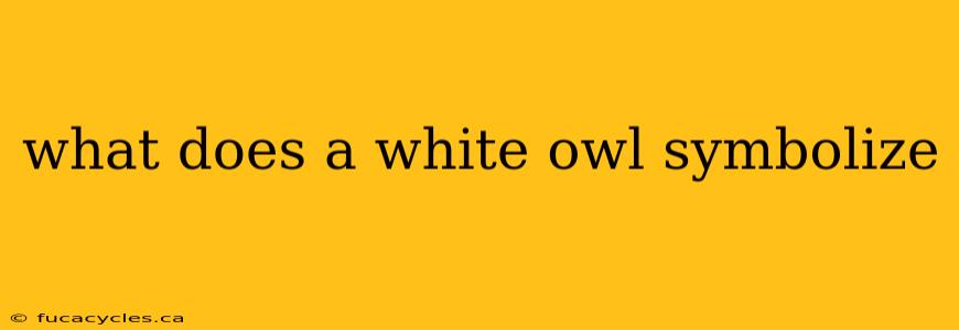 what does a white owl symbolize