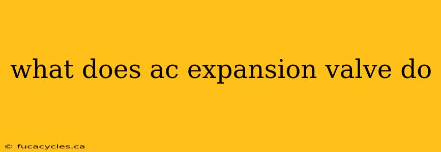 what does ac expansion valve do