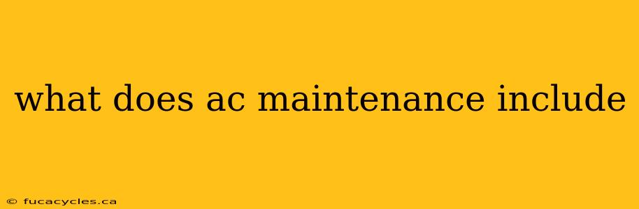 what does ac maintenance include