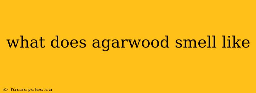 what does agarwood smell like