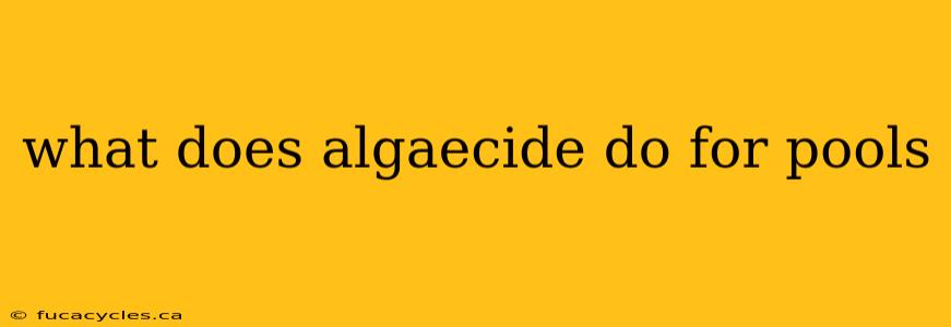 what does algaecide do for pools