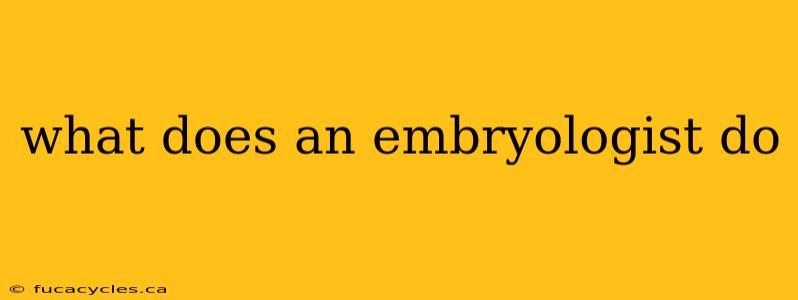 what does an embryologist do