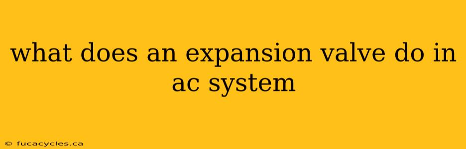 what does an expansion valve do in ac system