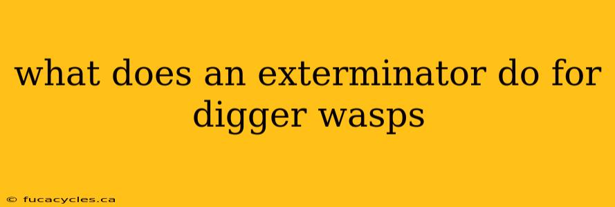 what does an exterminator do for digger wasps