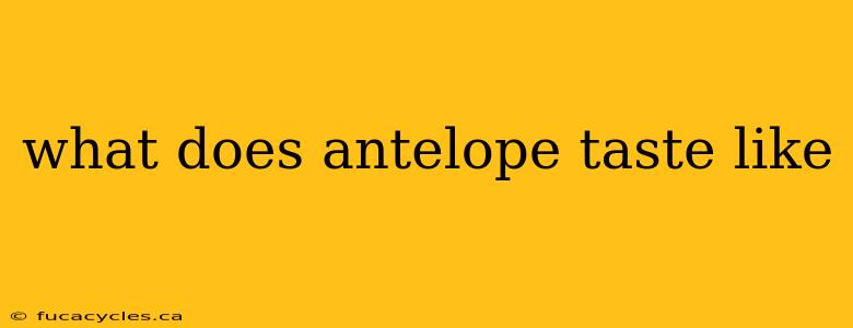 what does antelope taste like