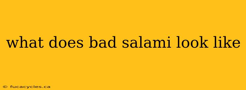 what does bad salami look like