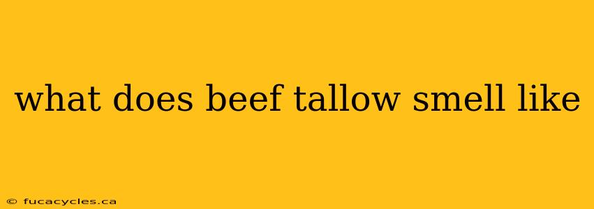 what does beef tallow smell like