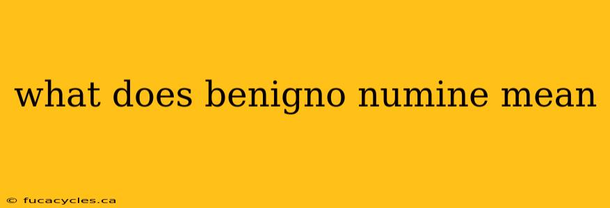 what does benigno numine mean