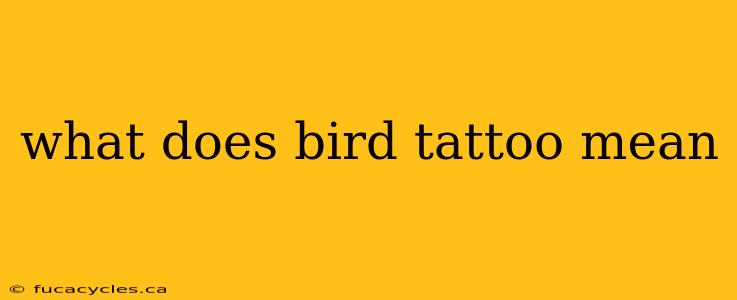 what does bird tattoo mean