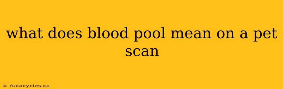 what does blood pool mean on a pet scan