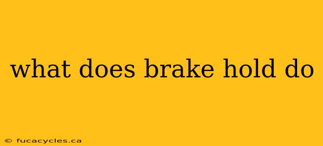 what does brake hold do