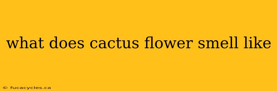 what does cactus flower smell like