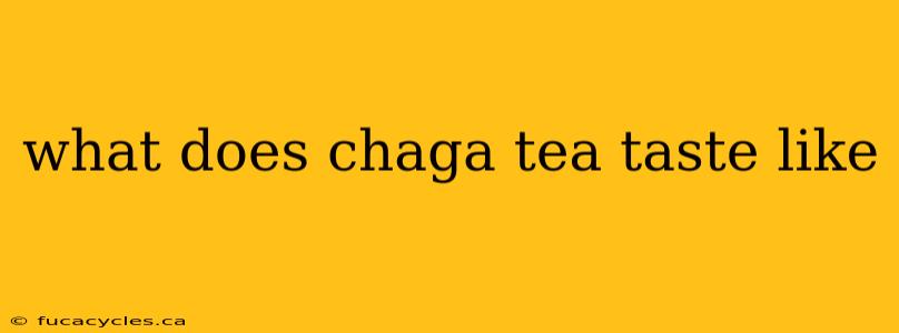 what does chaga tea taste like