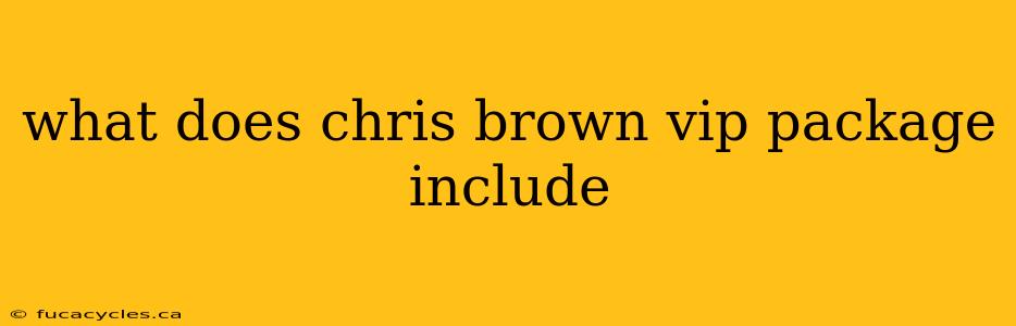 what does chris brown vip package include