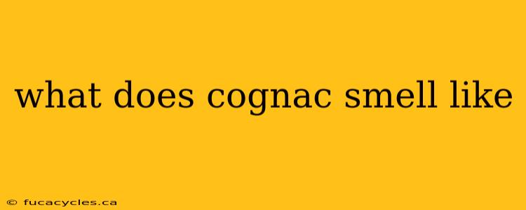 what does cognac smell like