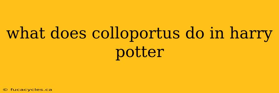 what does colloportus do in harry potter