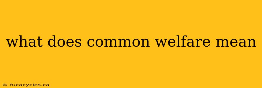 what does common welfare mean