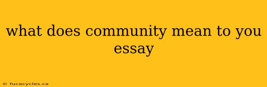 what does community mean to you essay