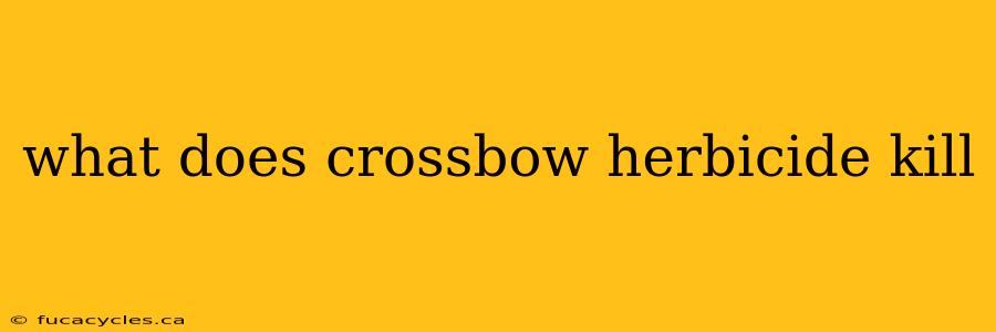 what does crossbow herbicide kill