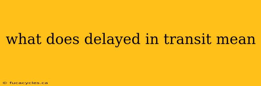 what does delayed in transit mean