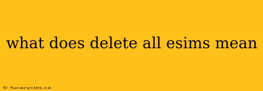 what does delete all esims mean