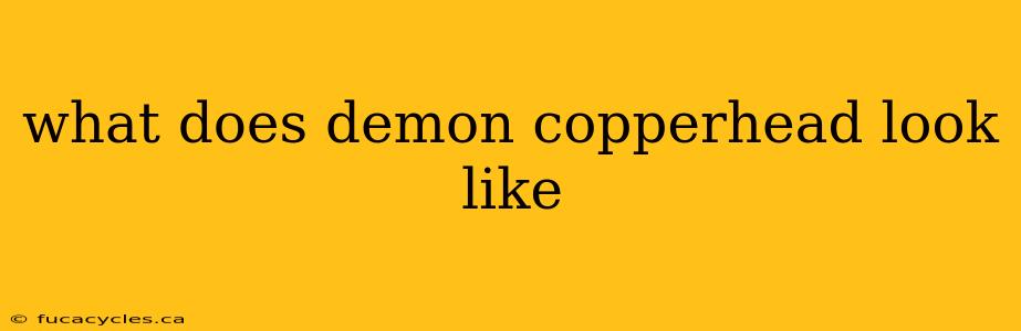 what does demon copperhead look like