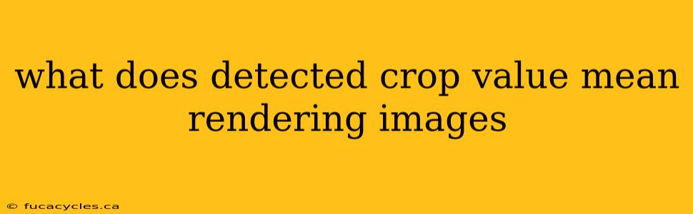 what does detected crop value mean rendering images