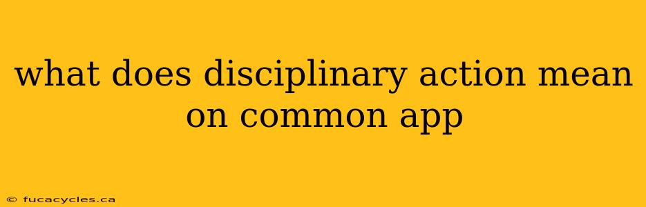 what does disciplinary action mean on common app