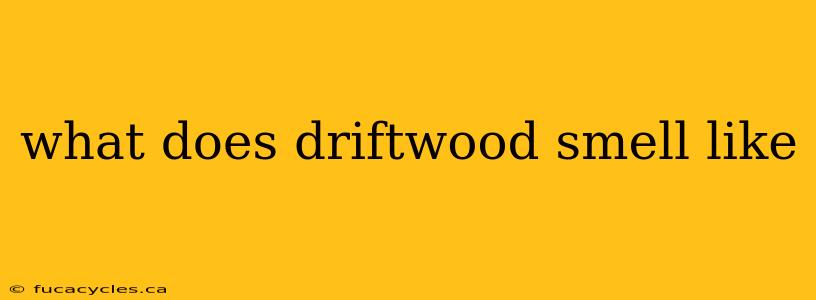 what does driftwood smell like