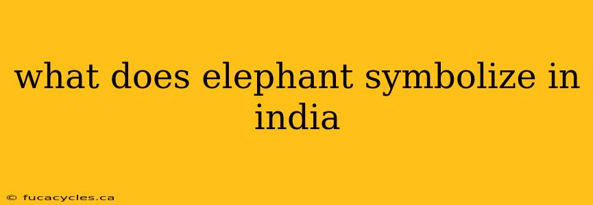 what does elephant symbolize in india