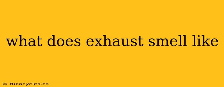 what does exhaust smell like