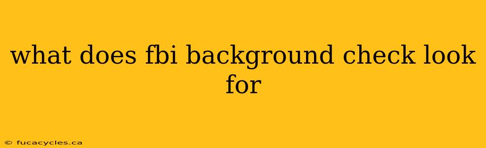 what does fbi background check look for