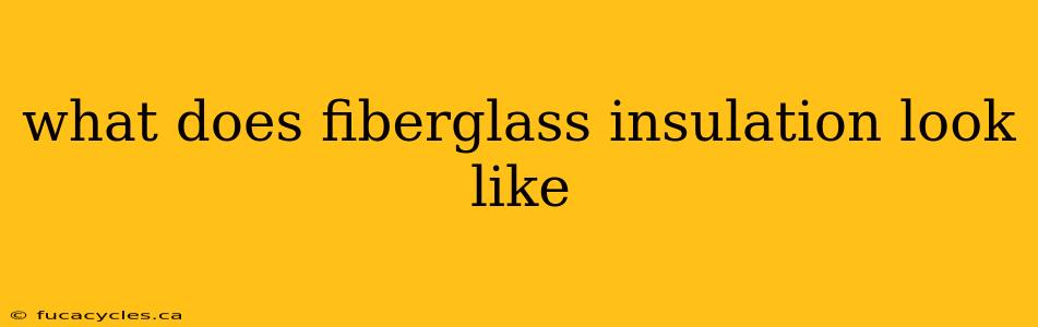 what does fiberglass insulation look like