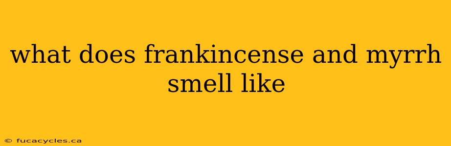 what does frankincense and myrrh smell like